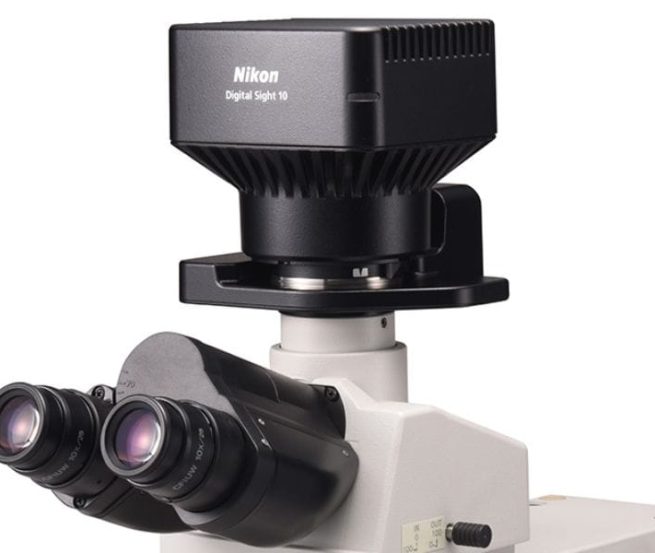 DS10_LV150NA-1-1-1.jpg